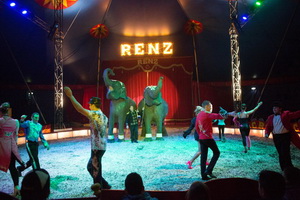 Circus Online Circus Online